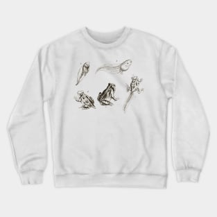 frog life cycle Crewneck Sweatshirt